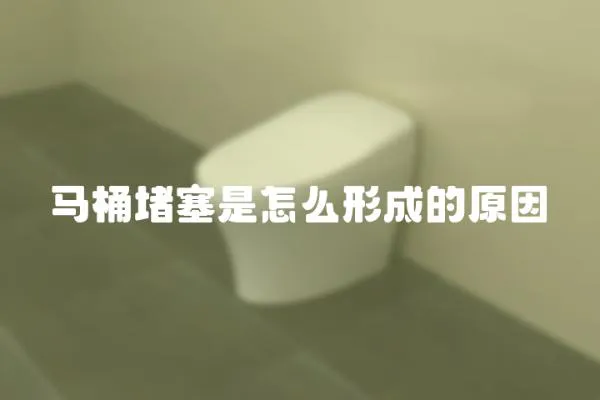 馬桶堵塞是怎么形成的原因
