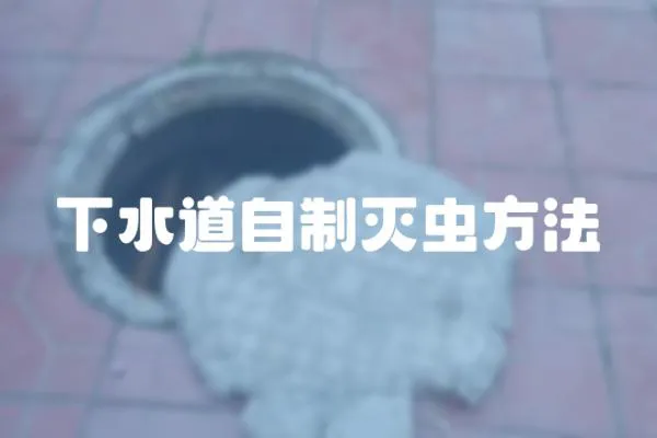 下水道自制滅蟲方法