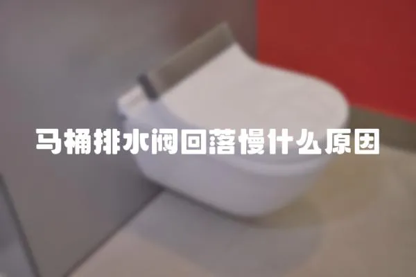 馬桶排水閥回落慢什么原因