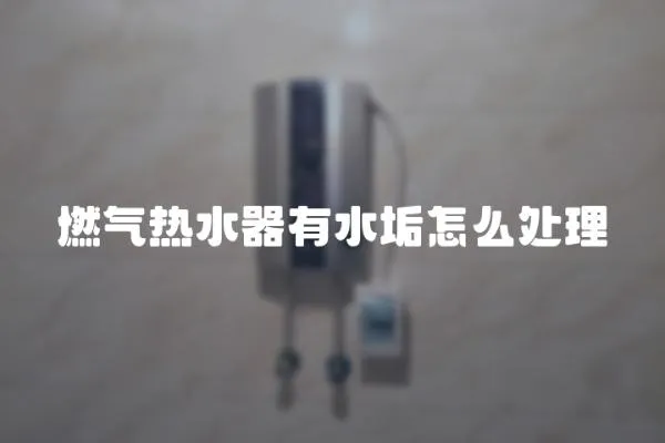 燃?xì)鉄崴饔兴冈趺刺幚?></a></div>
                    <div   id=