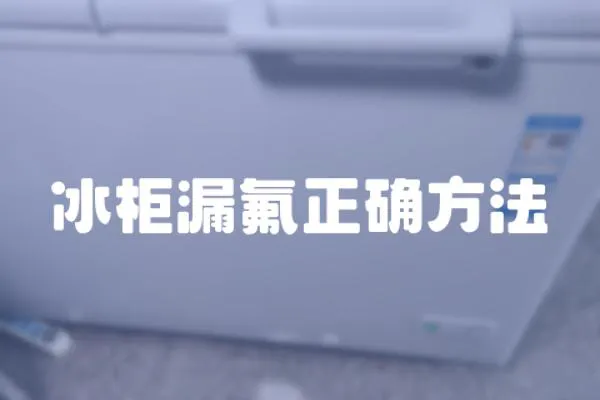 冰柜漏氟正確方法