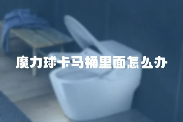 魔力球卡馬桶里面怎么辦