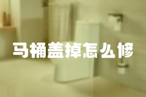 馬桶蓋掉怎么修
