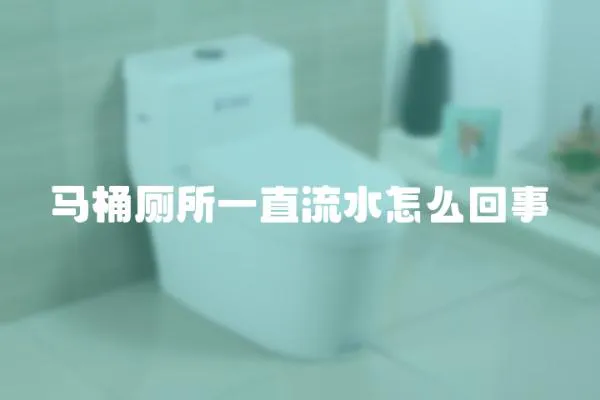 馬桶廁所一直流水怎么回事