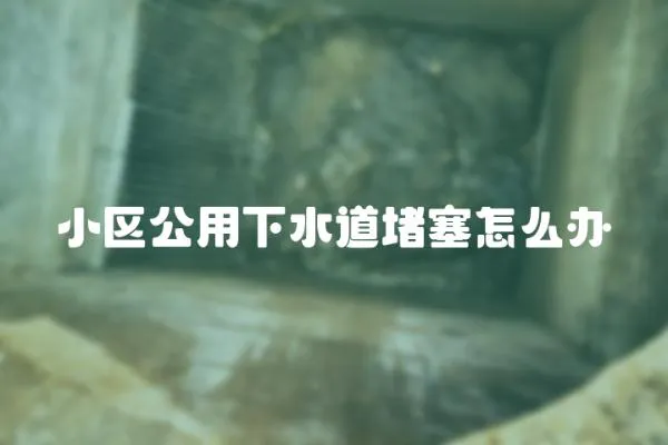 小區公用下水道堵塞怎么辦