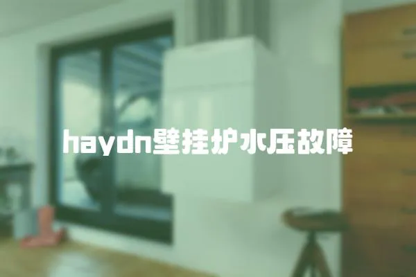 haydn壁掛爐水壓故障