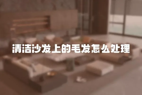 清潔沙發上的毛發怎么處理