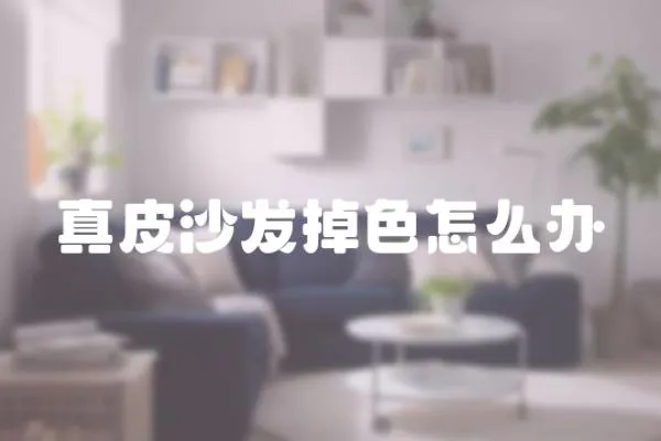 真皮沙發掉色怎么辦