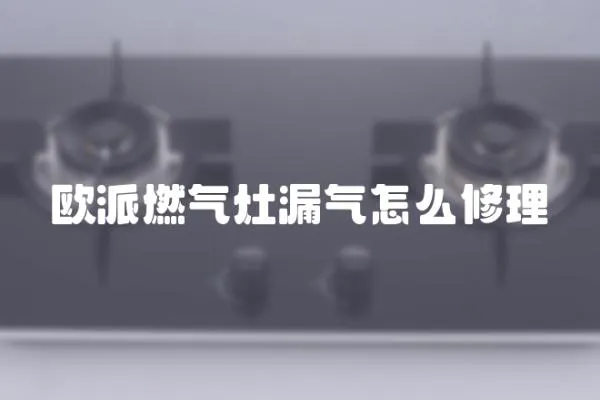 歐派燃?xì)庠盥庠趺葱蘩?></a></div>
                    <div   id=