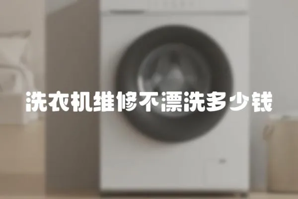 洗衣機維修不漂洗多少錢