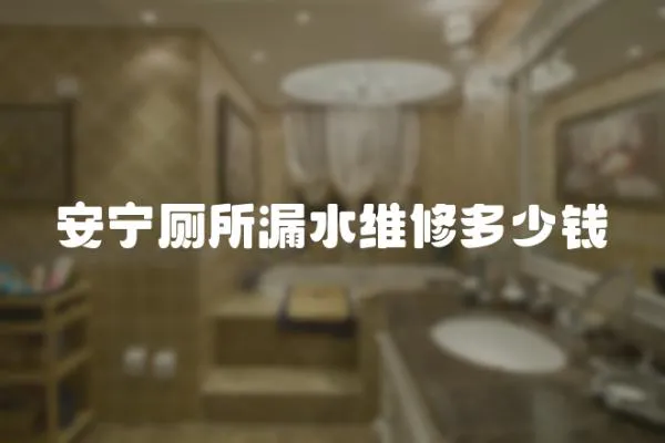 安寧廁所漏水維修多少錢