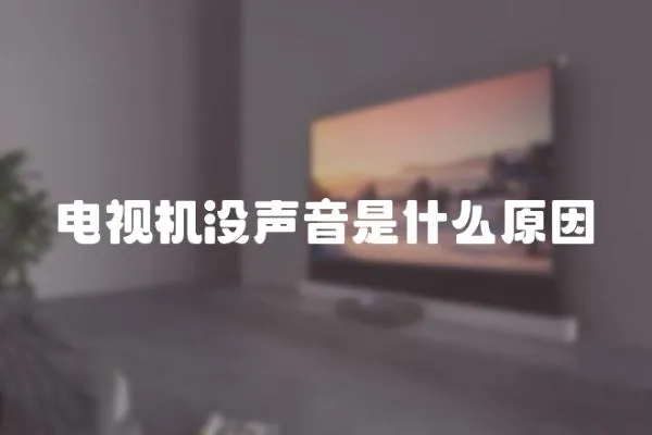電視機沒聲音是什么原因