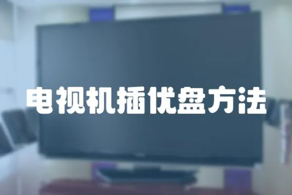 電視機(jī)插優(yōu)盤(pán)方法