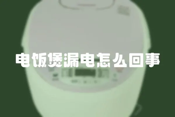 電飯煲漏電怎么回事