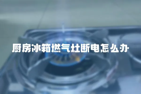 廚房冰箱燃?xì)庠顢嚯娫趺崔k