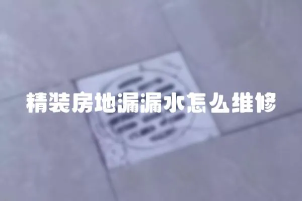 精裝房地漏漏水怎么維修