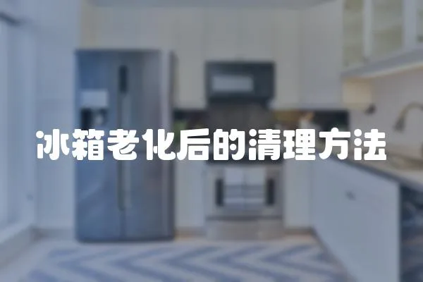 冰箱老化后的清理方法