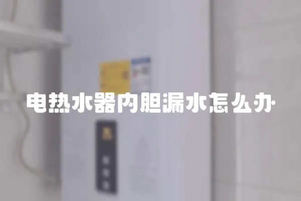 電熱水器內膽漏水怎么辦