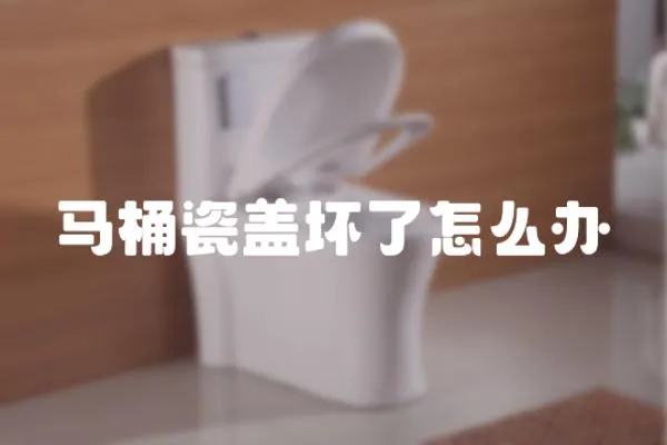 馬桶瓷蓋壞了怎么辦