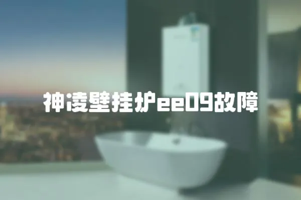神凌壁掛爐ee09故障
