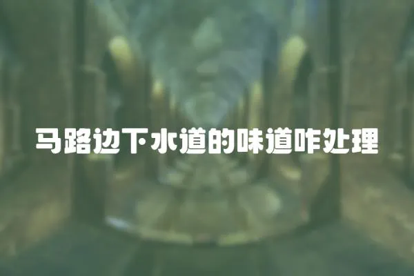 馬路邊下水道的味道咋處理