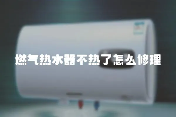 燃?xì)鉄崴鞑粺崃嗽趺葱蘩? loading=