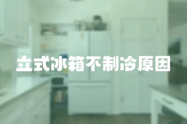 立式冰箱不制冷原因