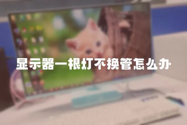 顯示器一根燈不換管怎么辦