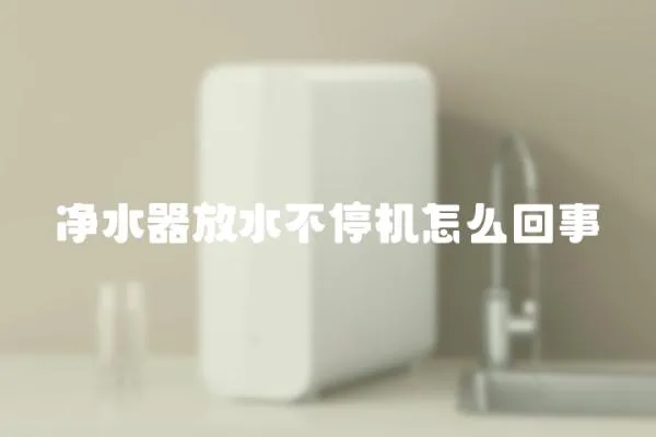 凈水器放水不停機(jī)怎么回事
