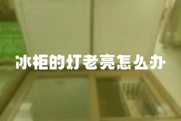 冰柜的燈老亮怎么辦