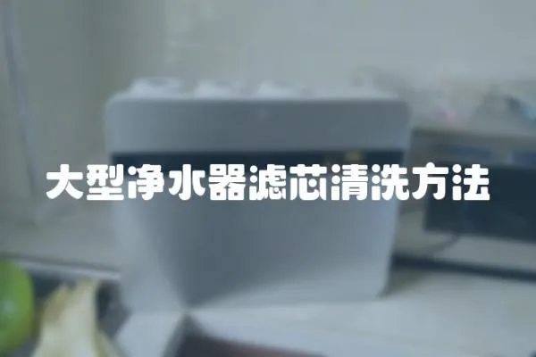 大型凈水器濾芯清洗方法