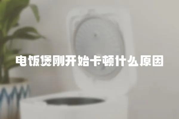 電飯煲剛開始卡頓什么原因