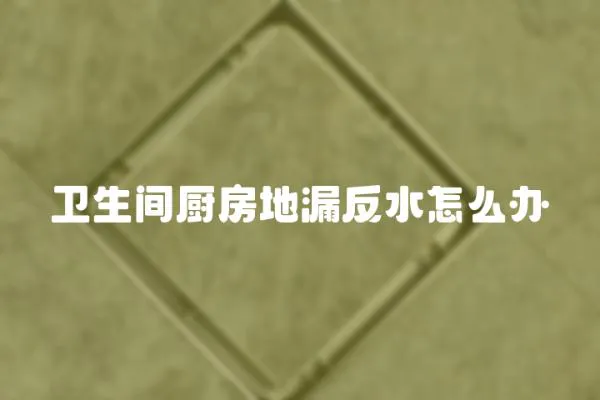 衛生間廚房地漏反水怎么辦