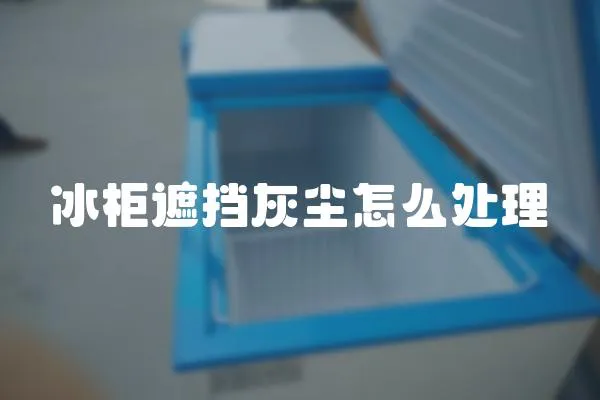 冰柜遮擋灰塵怎么處理