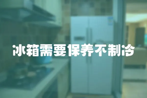 冰箱需要保養不制冷