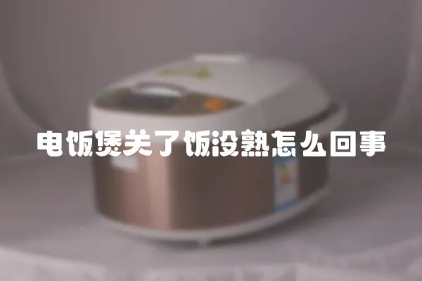 電飯煲關了飯沒熟怎么回事