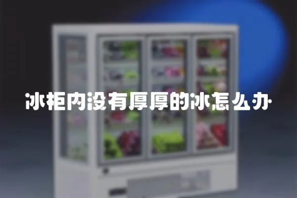 冰柜內沒有厚厚的冰怎么辦