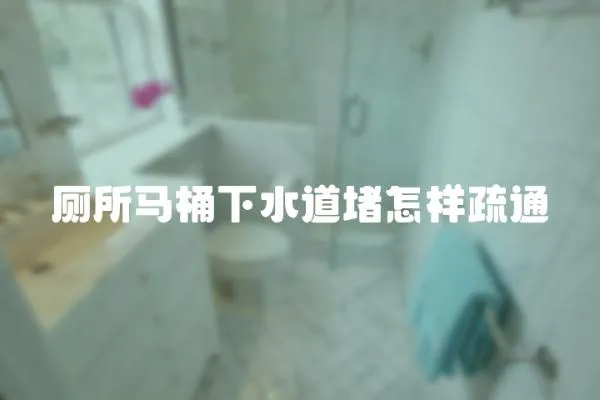 廁所馬桶下水道堵怎樣疏通