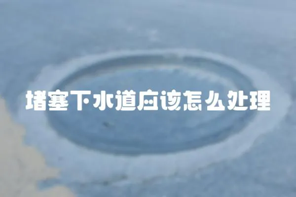 堵塞下水道應(yīng)該怎么處理