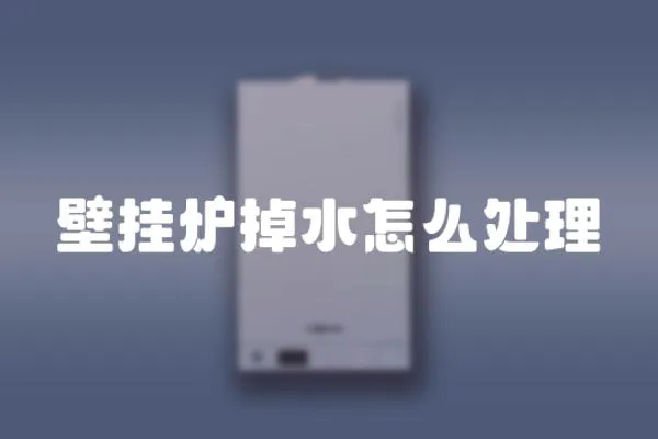 壁掛爐掉水怎么處理