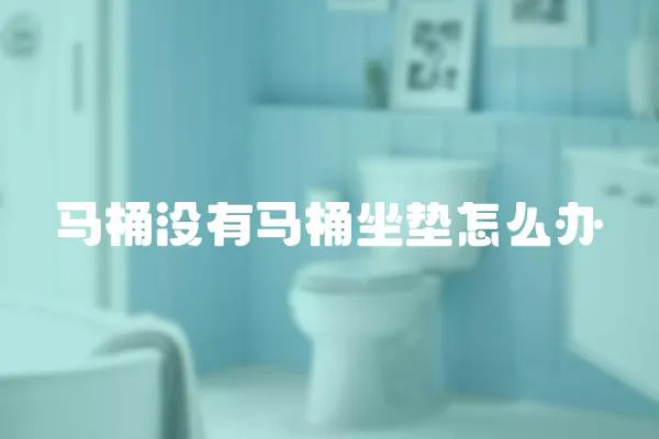 馬桶沒有馬桶坐墊怎么辦