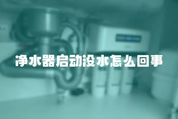 凈水器啟動(dòng)沒水怎么回事