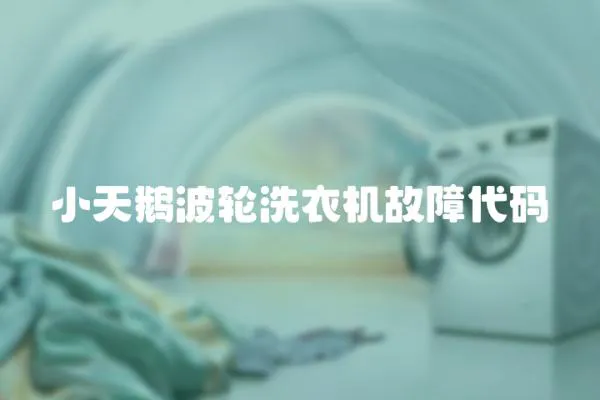小天鵝波輪洗衣機(jī)故障代碼