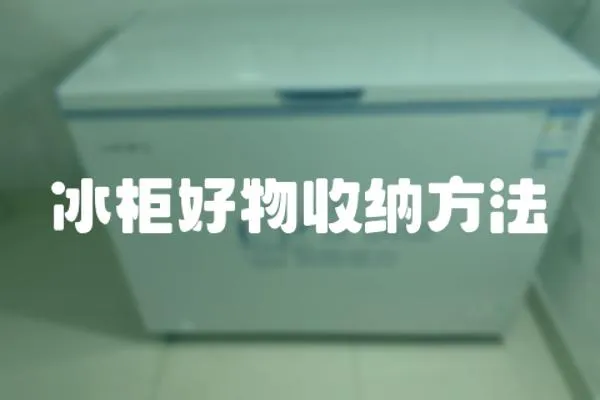 冰柜好物收納方法