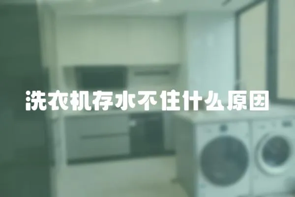 洗衣机存水不住什么原因