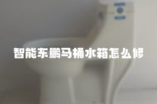 智能東鵬馬桶水箱怎么修