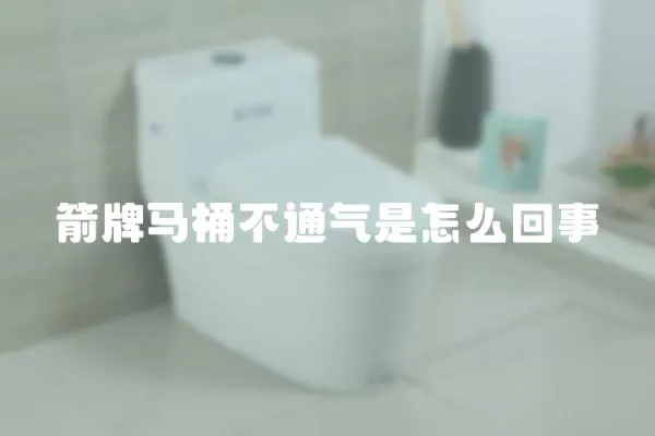 箭牌馬桶不通氣是怎么回事
