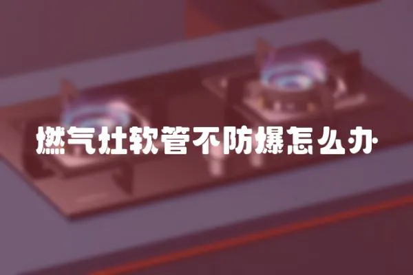 燃?xì)庠钴浌懿环辣趺崔k