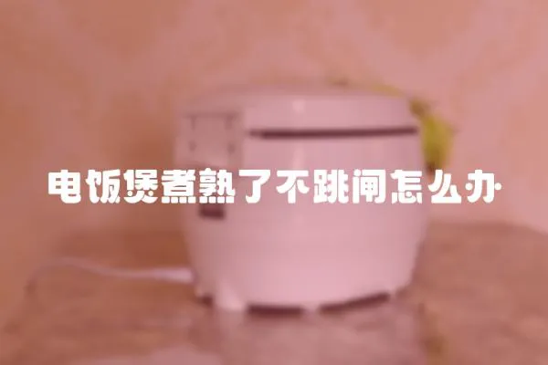 電飯煲煮熟了不跳閘怎么辦