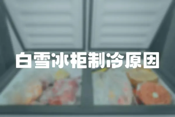 白雪冰柜制冷原因